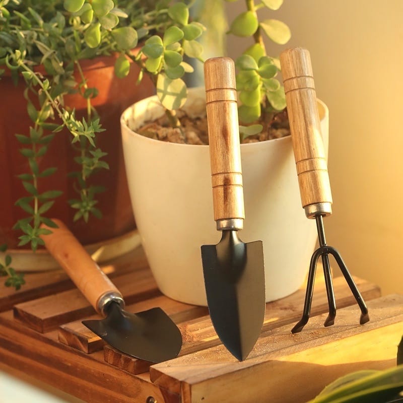 3 Piece Mini Gardening Tools Set Gardening Shovel-Rake and Hand Trowel-Mini Gardening Tool Set