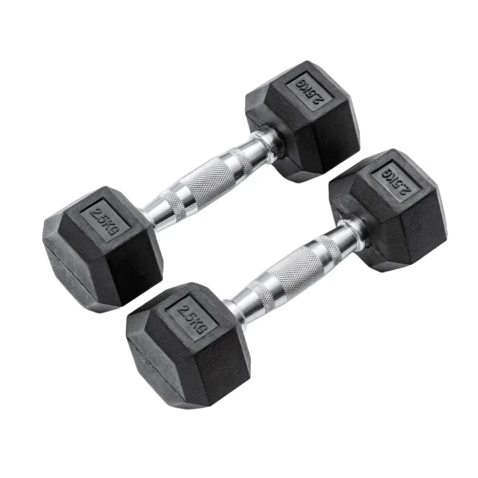 2.5kg Hex Dumbbell 2 pcs - Sports & Fitness